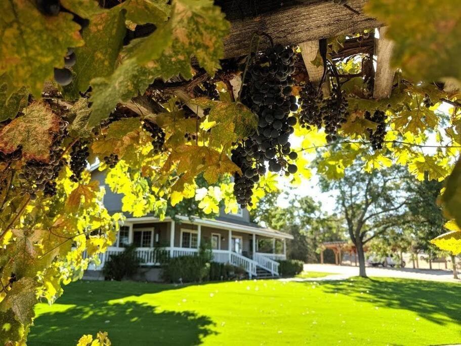 The Vineyard Farmhouse Villa 佩索罗伯斯 外观 照片